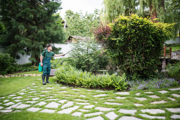 Inverness, CA Tree Services Company